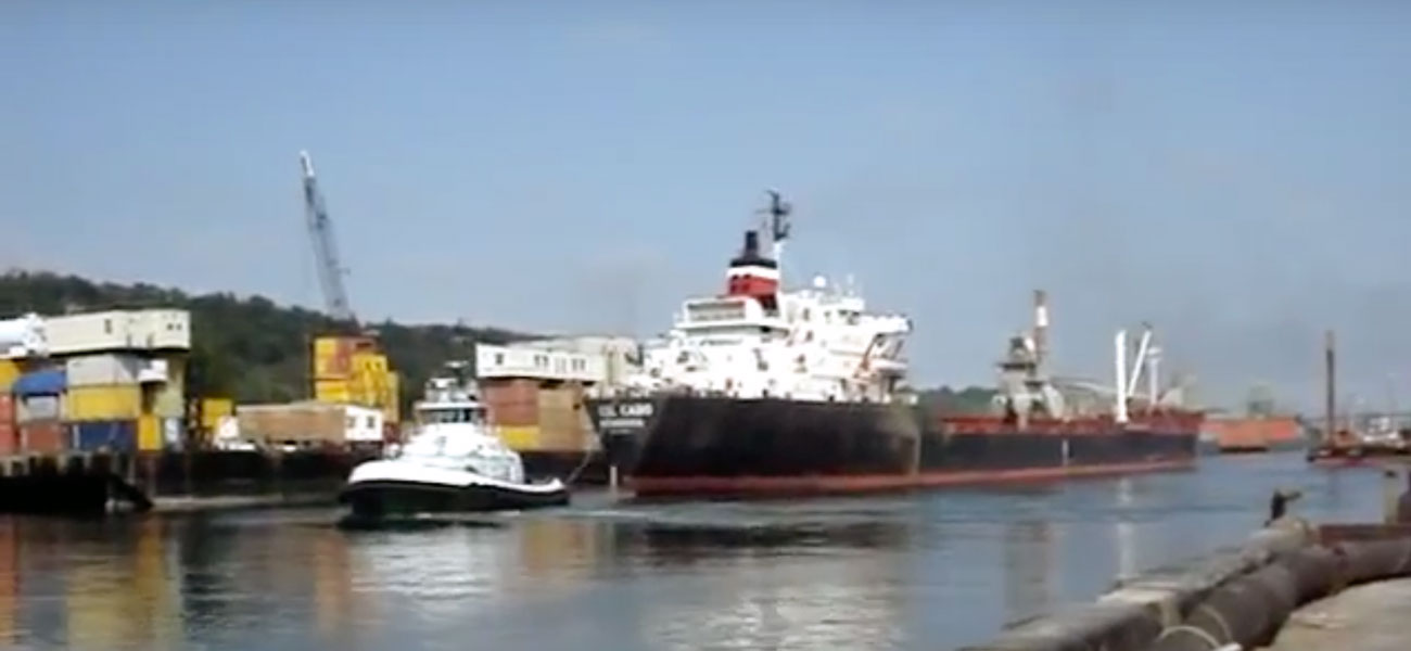 Rimorchiatore protegge la nave dalla banchina