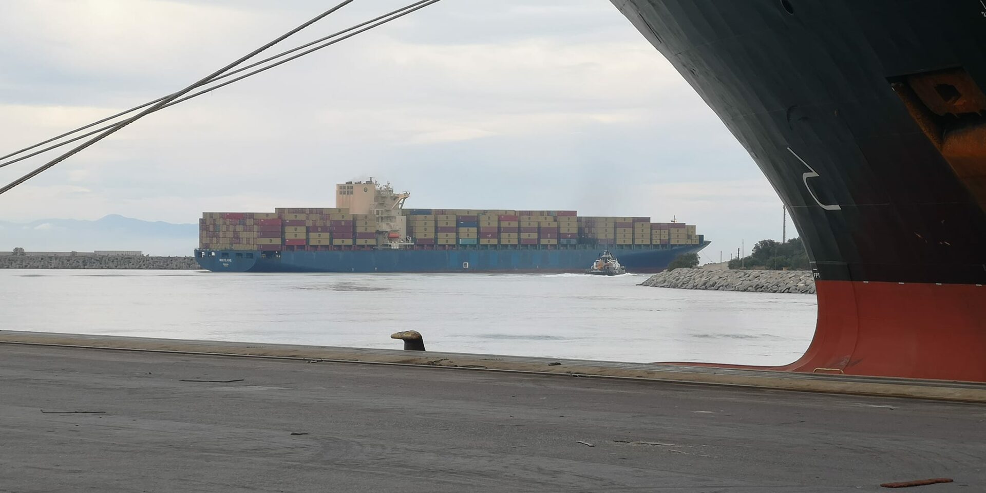 Msc-Elaine-incaglio-a-Gioia-Tauro-2-1920x960